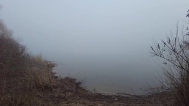 Nehirde yoğun sis var. Siste su var. Su ve sisli manzara.