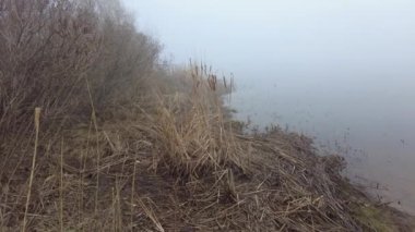 Nehirde yoğun sis var. Siste su var. Su ve sisli manzara.