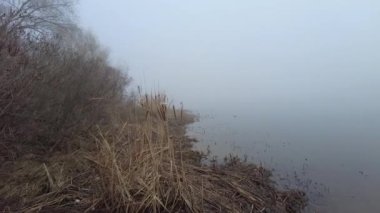 Nehirde yoğun sis var. Siste su var. Su ve sisli manzara.