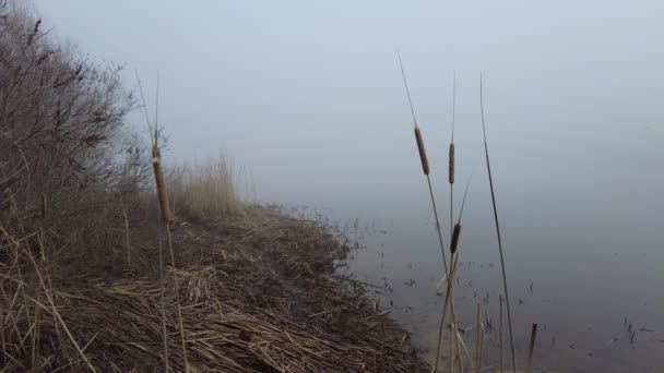 Dikke Mist Rivier Water Mist Landschap Met Water Mist — Stockvideo