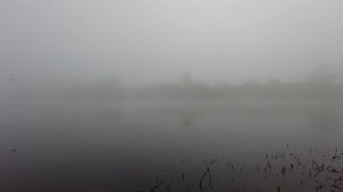 Nehirde yoğun sis var. Siste su var. Su ve sisli manzara.