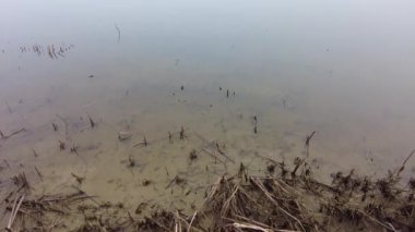 Nehirde yoğun sis var. Siste su var. Su ve sisli manzara.