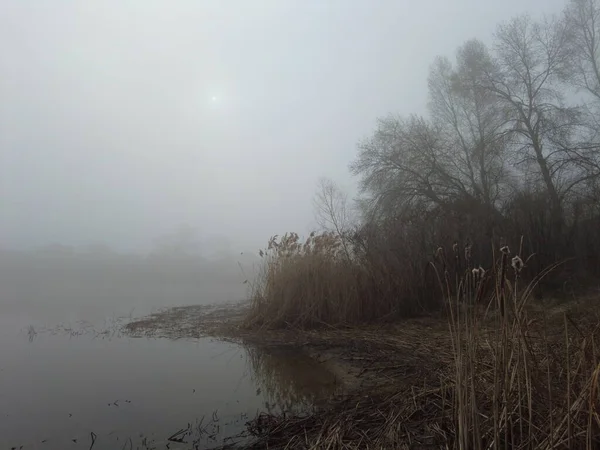 thick fog on the river. water in the fog. landscape with water and fog.