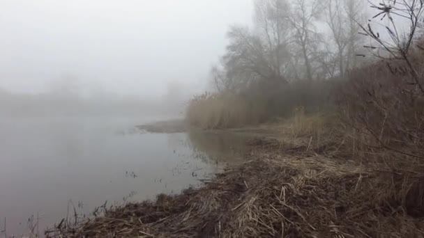 Gęsta Mgła Rzece Woda Mgle Krajobraz Wodą Mgłą — Wideo stockowe