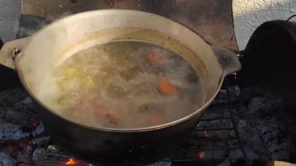 Kırmızı Balık Çorbasının Baharında Ateşte Pişirmek Gölün Yanındaki Ateşte Kulağı — Stok video