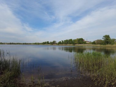 Nehrin üzerinde güzel bir akşam manzarası. Sudaki yansıma. Nehir kıyısında. türler ve sazlıklar.