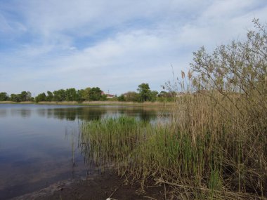 Nehrin üzerinde güzel bir akşam manzarası. Sudaki yansıma. Nehir kıyısında. türler ve sazlıklar.
