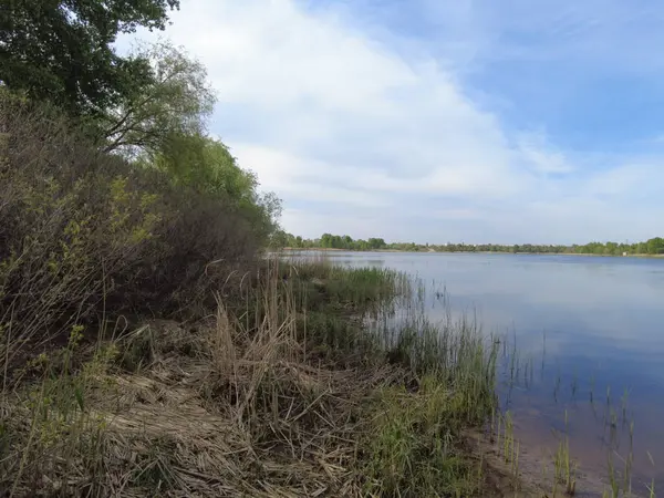 beautiful evening landscape on the river. reflection in water. River bank. species and reeds.