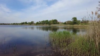 Nehrin üzerinde güzel bir akşam manzarası. Sudaki yansıma. Nehir kıyısında. türler ve sazlıklar.