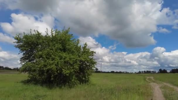 Ландшафт Дорогой Облаками Грязная Дорога Вдаль Езда Плохой Дороге — стоковое видео