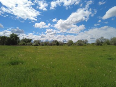 Bulutlu güzel bir manzara. yeşil çimenler ve mavi gökyüzü. Bahar doğası. Doğal duvar kağıdı