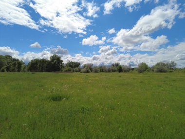 Bulutlu güzel bir manzara. yeşil çimenler ve mavi gökyüzü. Bahar doğası. Doğal duvar kağıdı