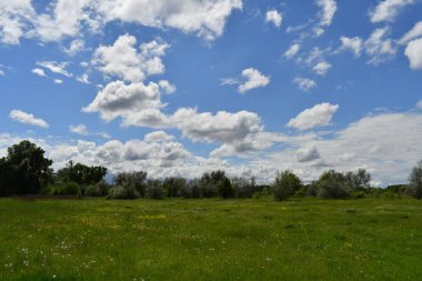 Bulutlu güzel bir manzara. yeşil çimenler ve mavi gökyüzü. Bahar doğası. Doğal duvar kağıdı