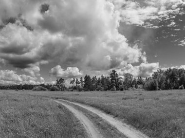 Bulutlu güzel bir manzara. yeşil çimenler ve mavi gökyüzü. Bahar doğası. Doğal duvar kağıdı