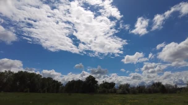 Bellissimo Paesaggio Con Nuvole Erba Verde Cielo Blu Natura Primaverile — Video Stock