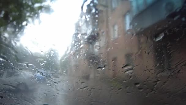 雨で背景がぼやけてる 湿気の多い寒い天候 雨と水たまりが街中に 雨滴が — ストック動画