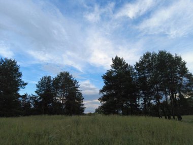 Güzel gökyüzü olan gün batımı. Bulutlu akşam manzarası. Doğal manzara. Gökyüzündeki hacimli bulutlar