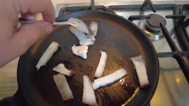 Saindoux Dans Une Casserole Saindoux Frit Graisse Dans Une Poêle — Video