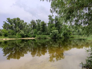 Kum ve suyla kaplı bir manzara. Ağaçların yansıması. Yağmurdan önce bulutlu hava.