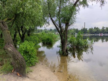 Kum ve suyla kaplı bir manzara. Ağaçların yansıması. Yağmurdan önce bulutlu hava.