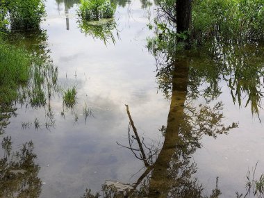 Kum ve suyla kaplı bir manzara. Ağaçların yansıması. Yağmurdan önce bulutlu hava.