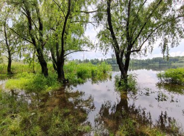 Kum ve suyla kaplı bir manzara. Ağaçların yansıması. Yağmurdan önce bulutlu hava.