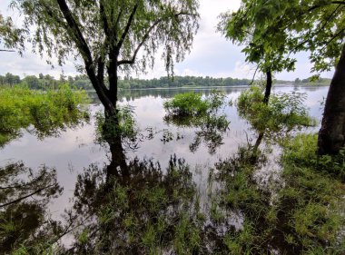 Kum ve suyla kaplı bir manzara. Ağaçların yansıması. Yağmurdan önce bulutlu hava.