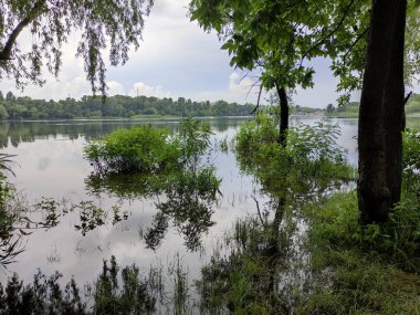 Kum ve suyla kaplı bir manzara. Ağaçların yansıması. Yağmurdan önce bulutlu hava.