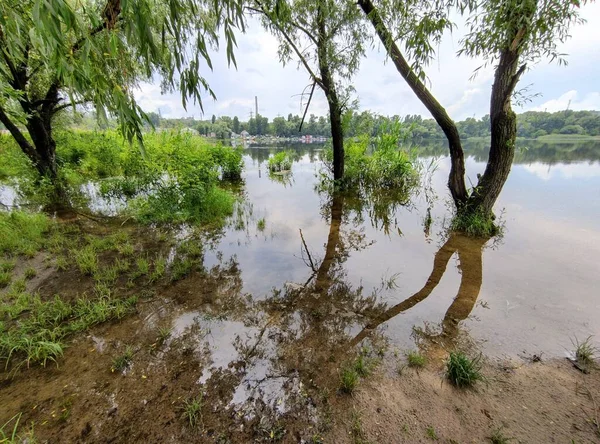 Landschap Met Zand Water Reflectie Van Bomen Bewolkt Weer Voor — Stockfoto