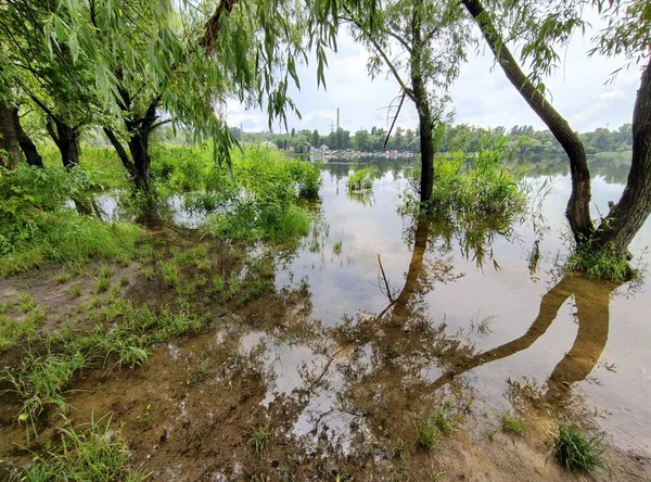 带沙子和水的风景 树的倒影 雨前多云天气 — 图库照片