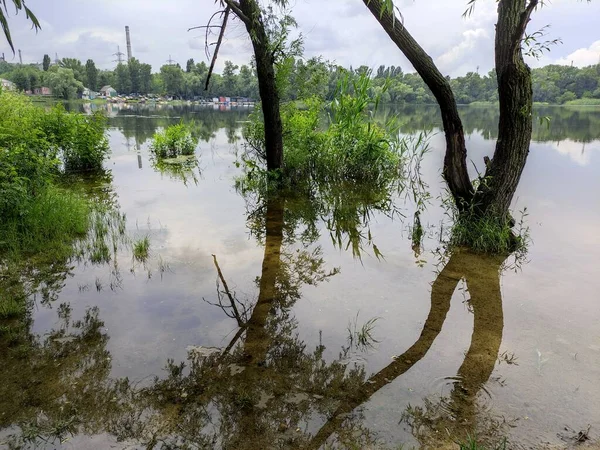 Landscape Sand Water Reflection Trees Cloudy Weather Rain — Stock Photo, Image