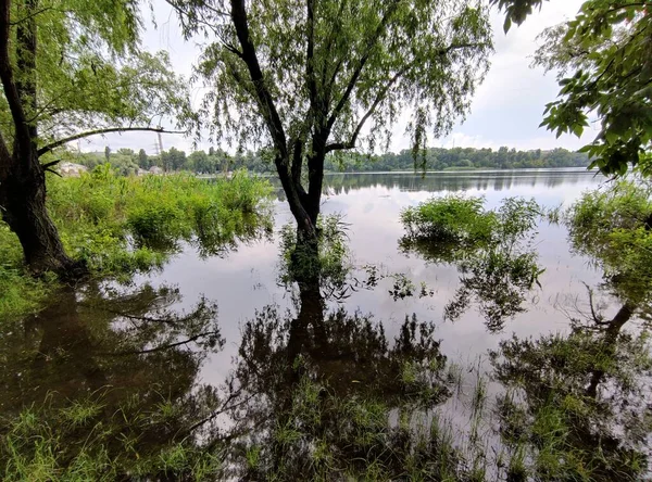 Landscape Sand Water Reflection Trees Cloudy Weather Rain — Stock Photo, Image