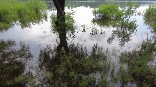 Landskap Med Sand Och Vatten Återspegling Träd Molnigt Väder Före — Stockvideo