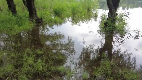 Krajobraz Piaskiem Wodą Odbicie Drzew Pochmurna Pogoda Przed Deszczem — Wideo stockowe