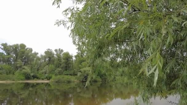 Paisaje Con Arena Agua Reflexión Los Árboles Tiempo Nublado Antes — Vídeos de Stock