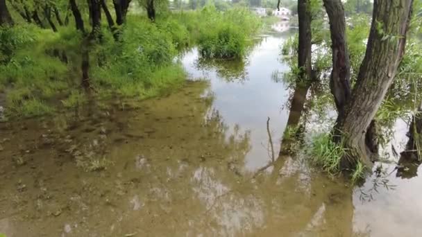 Landschap Met Zand Water Reflectie Van Bomen Bewolkt Weer Voor — Stockvideo