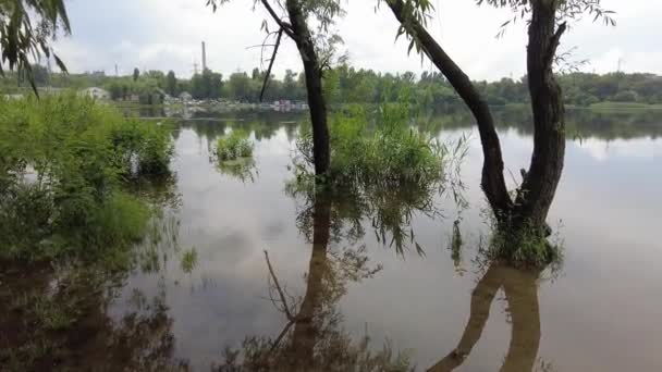Kum Suyla Kaplı Bir Manzara Ağaçların Yansıması Yağmurdan Önce Bulutlu — Stok video