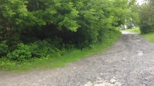 Conduzir Numa Estrada Carro Está Dirigindo Uma Estrada Terra — Vídeo de Stock