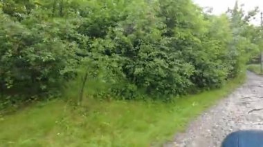 Kötü bir yolda araba kullanmak. Araba toprak bir yolda gidiyor.