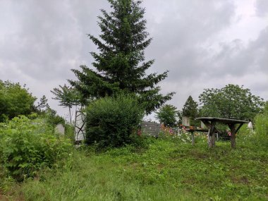 Fazla büyümüş eski mezarlar. Eski mezarlık. Mezarlardaki anıtlar ve haçlar