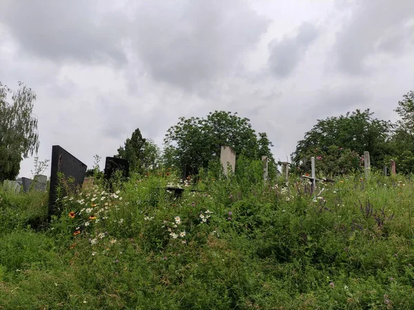 Stare Zarośnięte Groby Stary Cmentarz Pomniki Krzyże Grobach — Zdjęcie stockowe