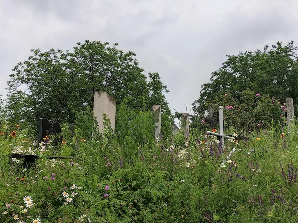 Старые Заросшие Могилы Старое Кладбище Памятники Кресты Могилах — стоковое фото