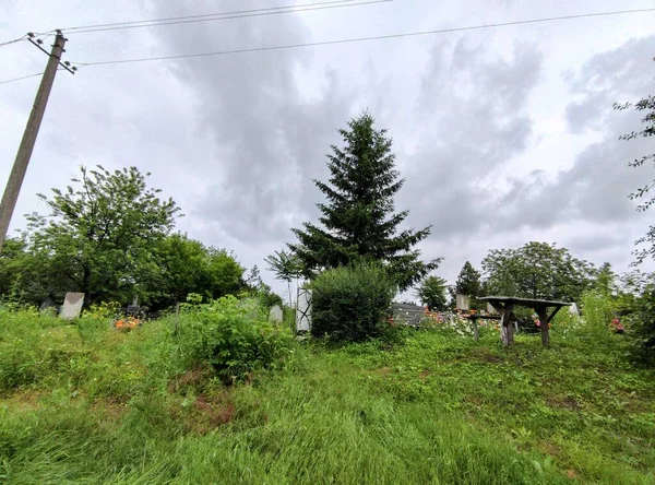 Alte Überwucherte Gräber Alter Friedhof Denkmäler Und Kreuze Auf Gräbern — Stockfoto