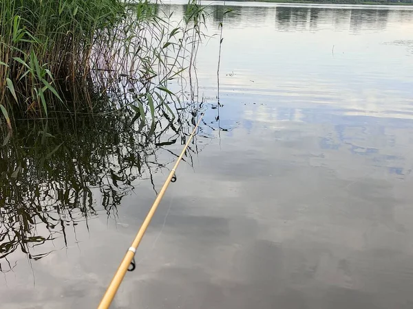 Рыбалка Удочка Вода Рыбак Берегу — стоковое фото