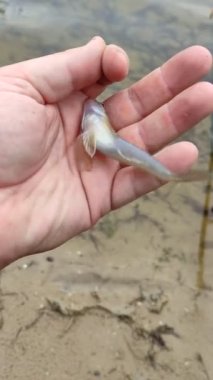 Balık tutmak. Olta ve su. Kıyıdaki balıkçılar.