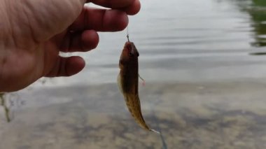 Balık tutmak. Olta ve su. Kıyıdaki balıkçılar.