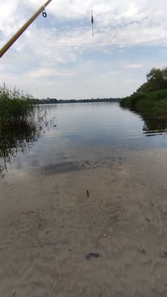 Pêche Canne Pêche Eau Pêcheur Sur Rivage — Video