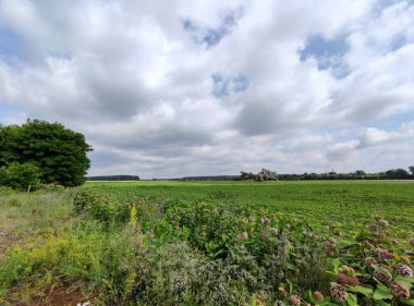 Yeşil alan ve bulutlu gökyüzü. Gri gökyüzü manzarası. Yağmurdan önce bulutlar