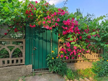 Evin yakınındaki eski çit. Eski kapı ve ev. fazla gelişmiş çit ve kapı