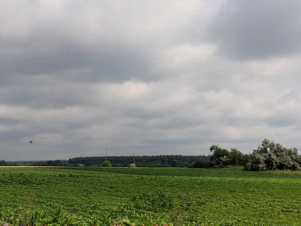 Lapangan Hijau Dan Langit Mendung Pemandangan Dengan Langit Abu Abu — Stok Foto